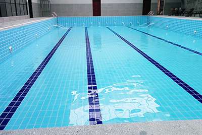 戴高樂(lè) 戴高樂(lè)